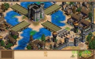 帝国时代2单机中文版  v1.12.7图2