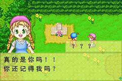 牧场物语金手指gba  v1.2图2